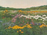 Flower Field 1